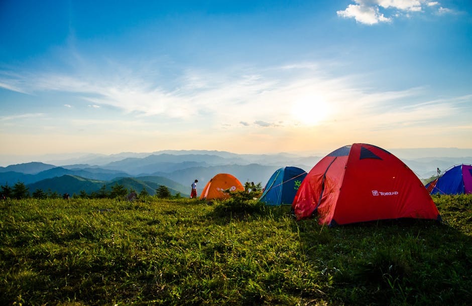 Vibrant tents on a grassy mountain ridge with a stunning sunrise view, ideal for adventure